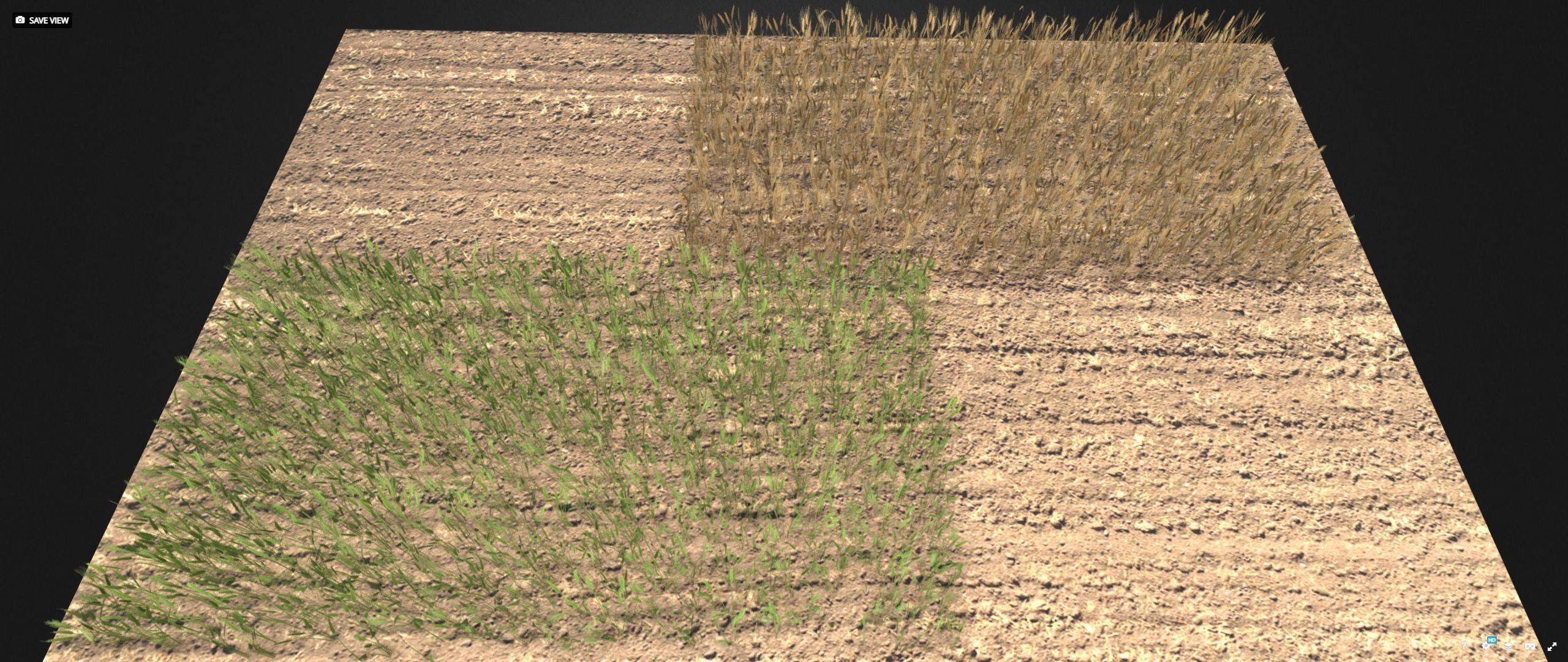 Wheat field Low-poly 3D model_2