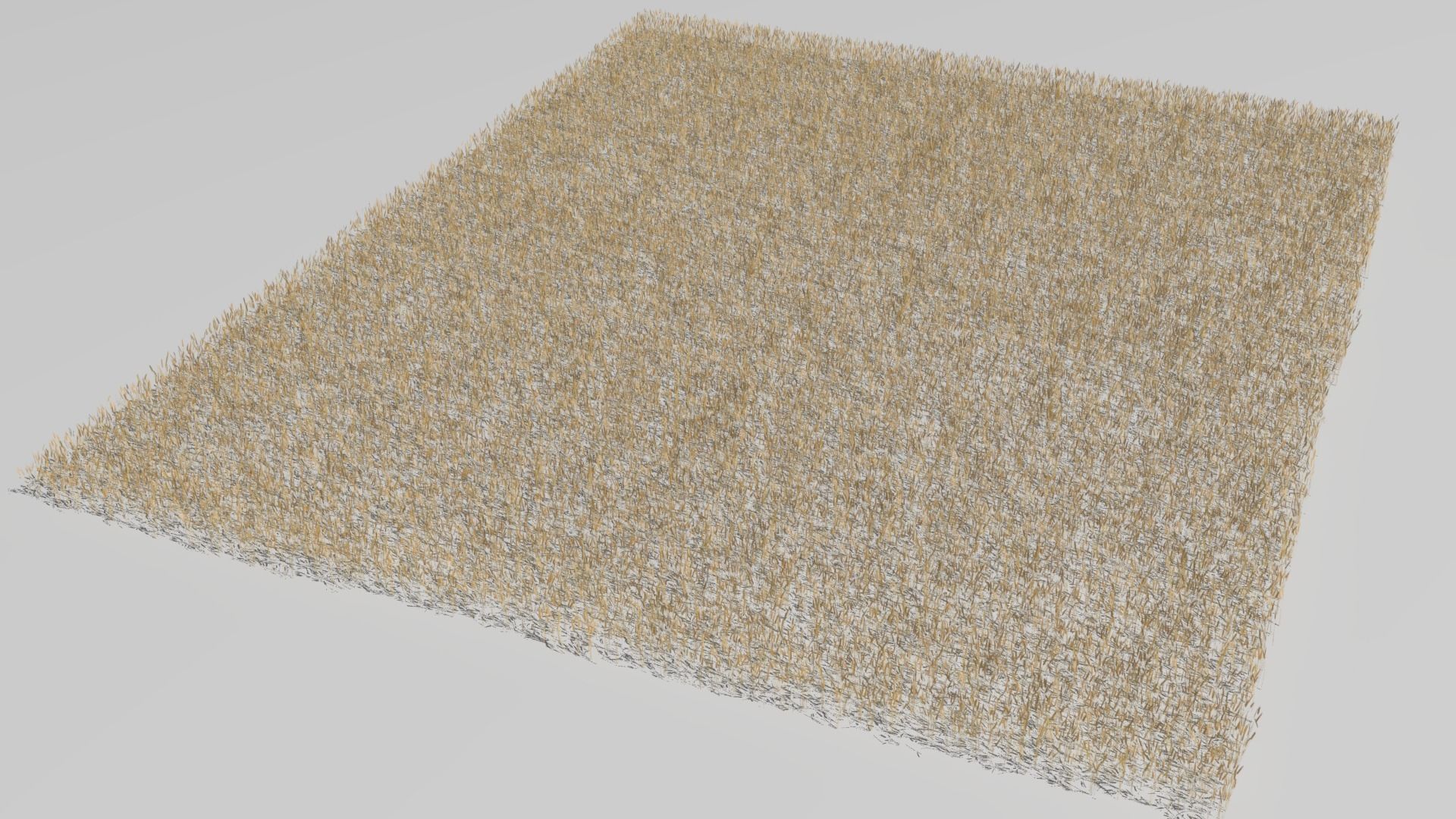Wheat field Low-poly 3D model_14