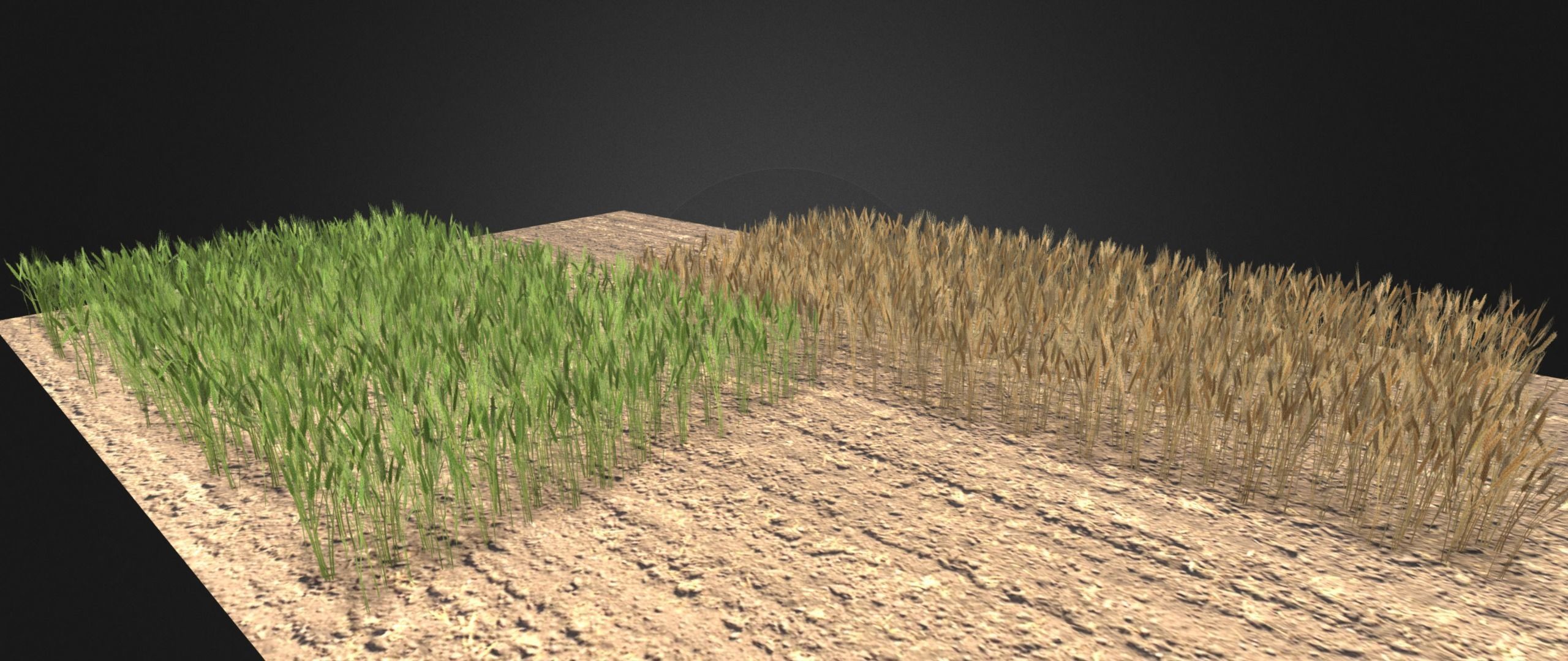 Wheat field Low-poly 3D model_7