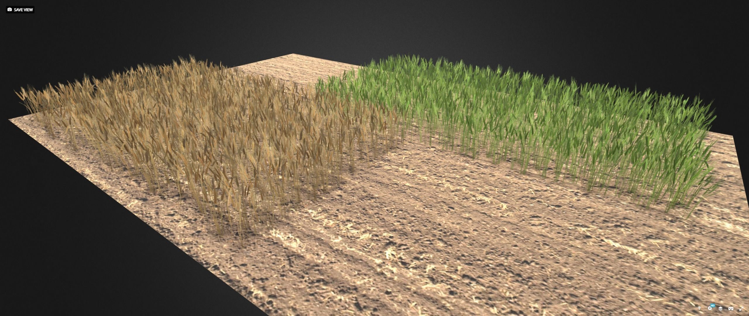 Wheat field Low-poly 3D model_3