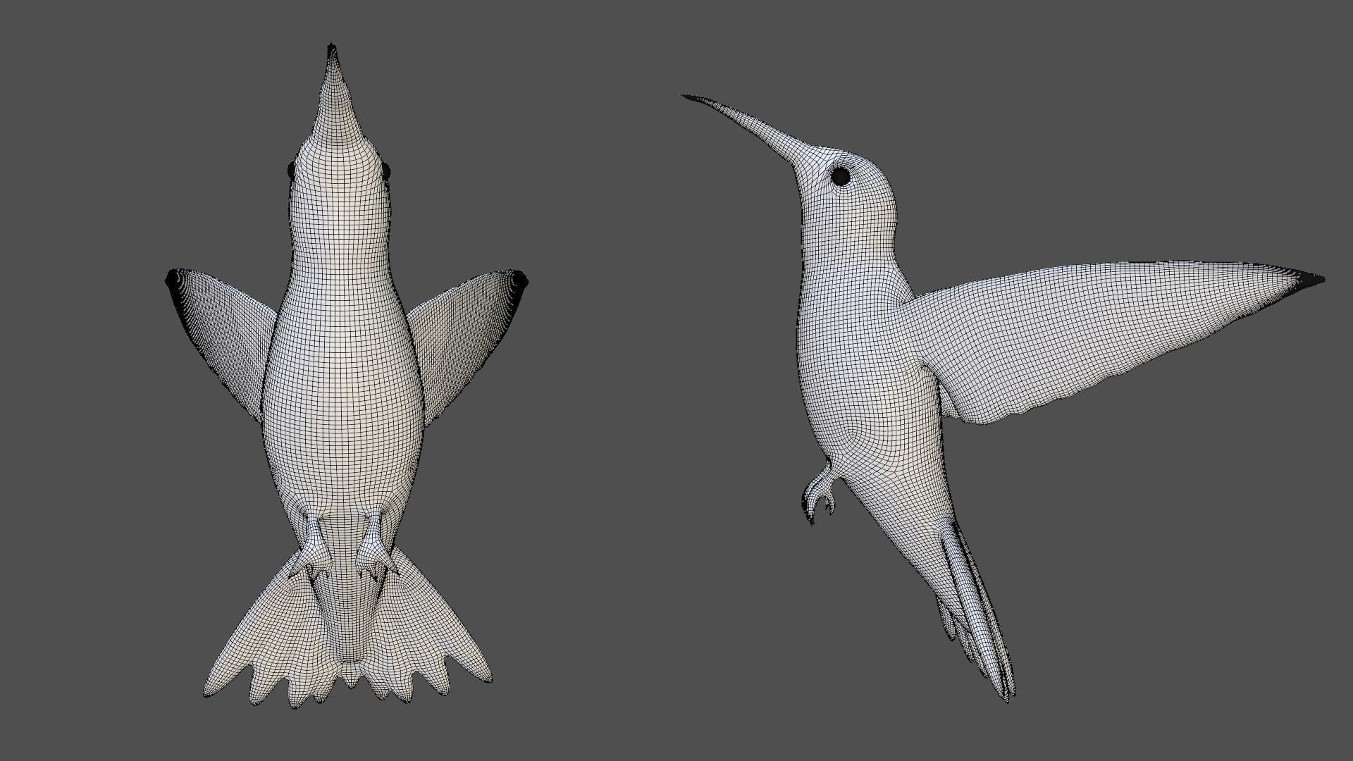 3D model Hummingbird colorful flying in air VR / AR / low-poly | CGTrader