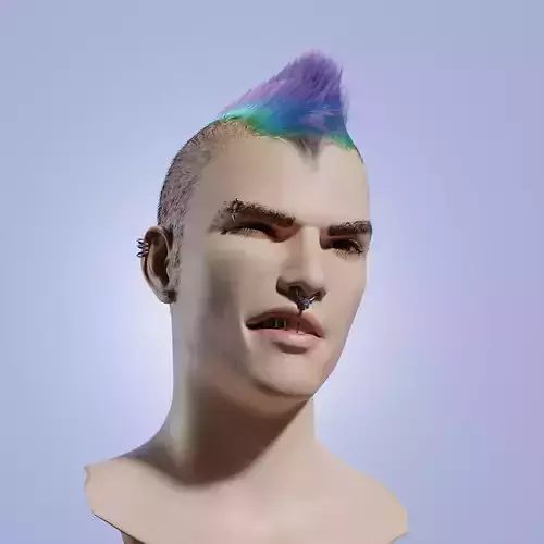 Human Head Mesh Free 3D model