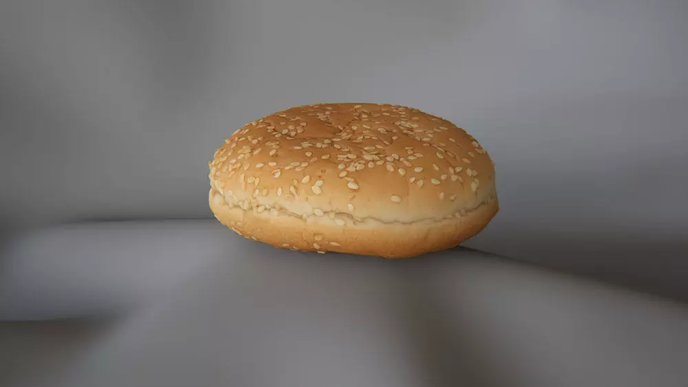 Burger Bun 2 - 3D Scan 3D model_0
