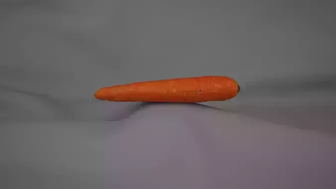 Carrot 2 - 3D Scan