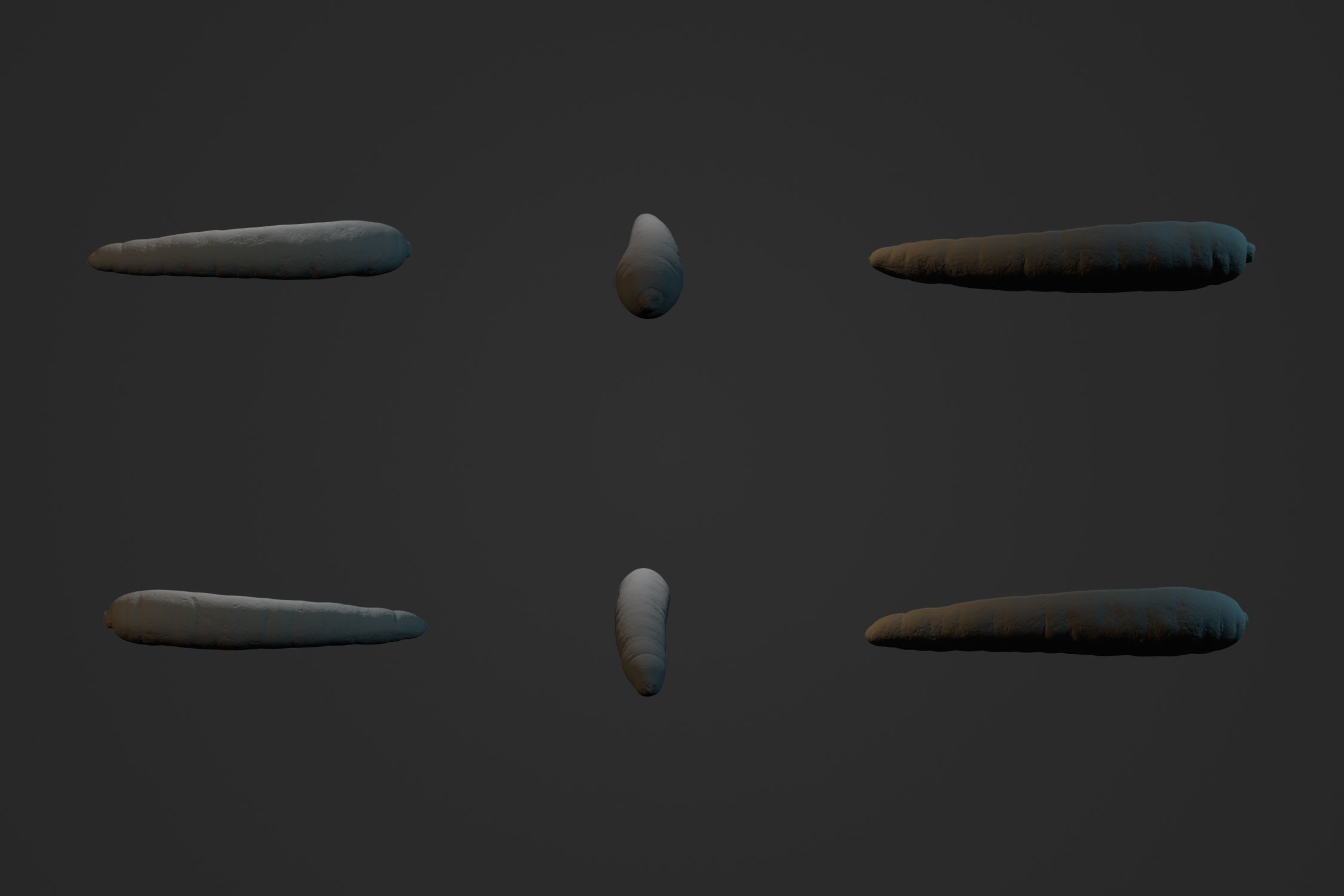 Carrot 2 - 3D Scan 3D model_3