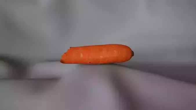 Carrot 2 - 2 Bites - 3D Scan