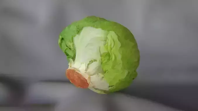 Iceberg Lettuce 1 - 3D Scan 3D model