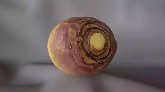 Swede 1 - 3D Scan