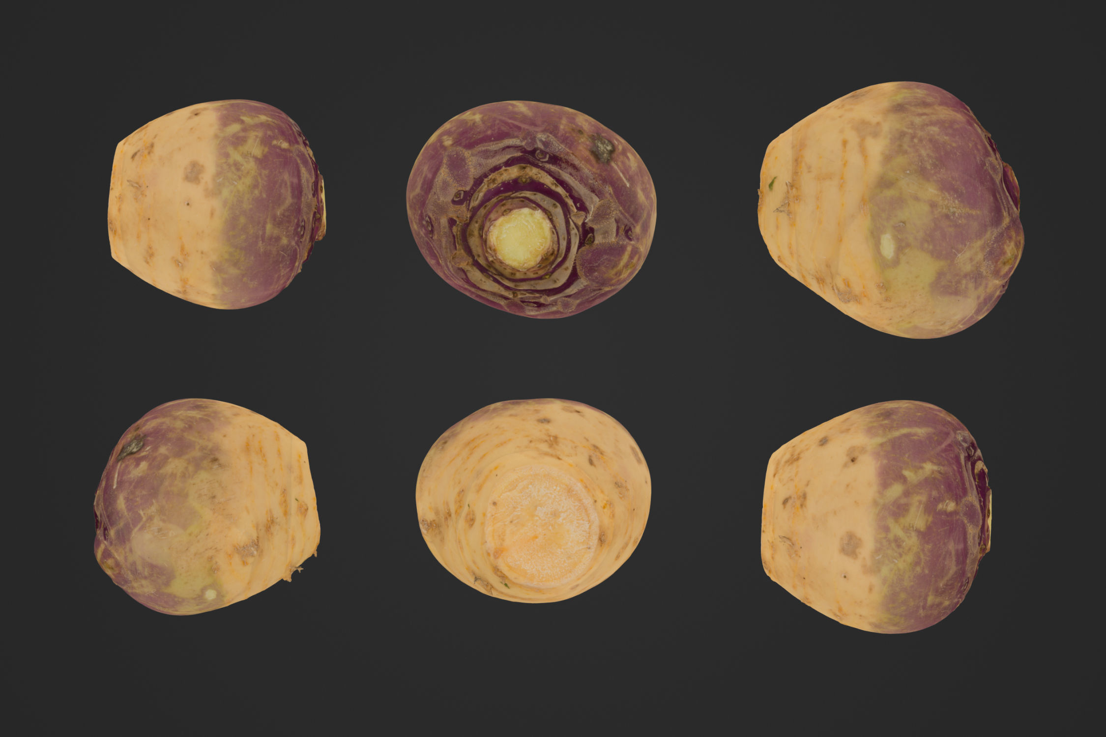 Swede 1 - 3D Scan 3D model_1