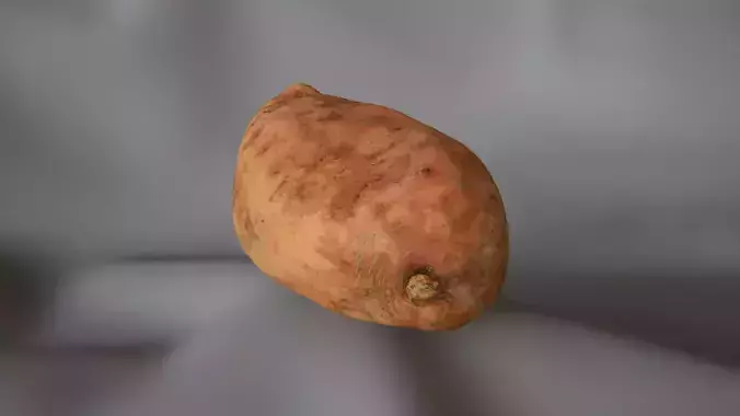 Sweet Potato 1 - 3D Scan