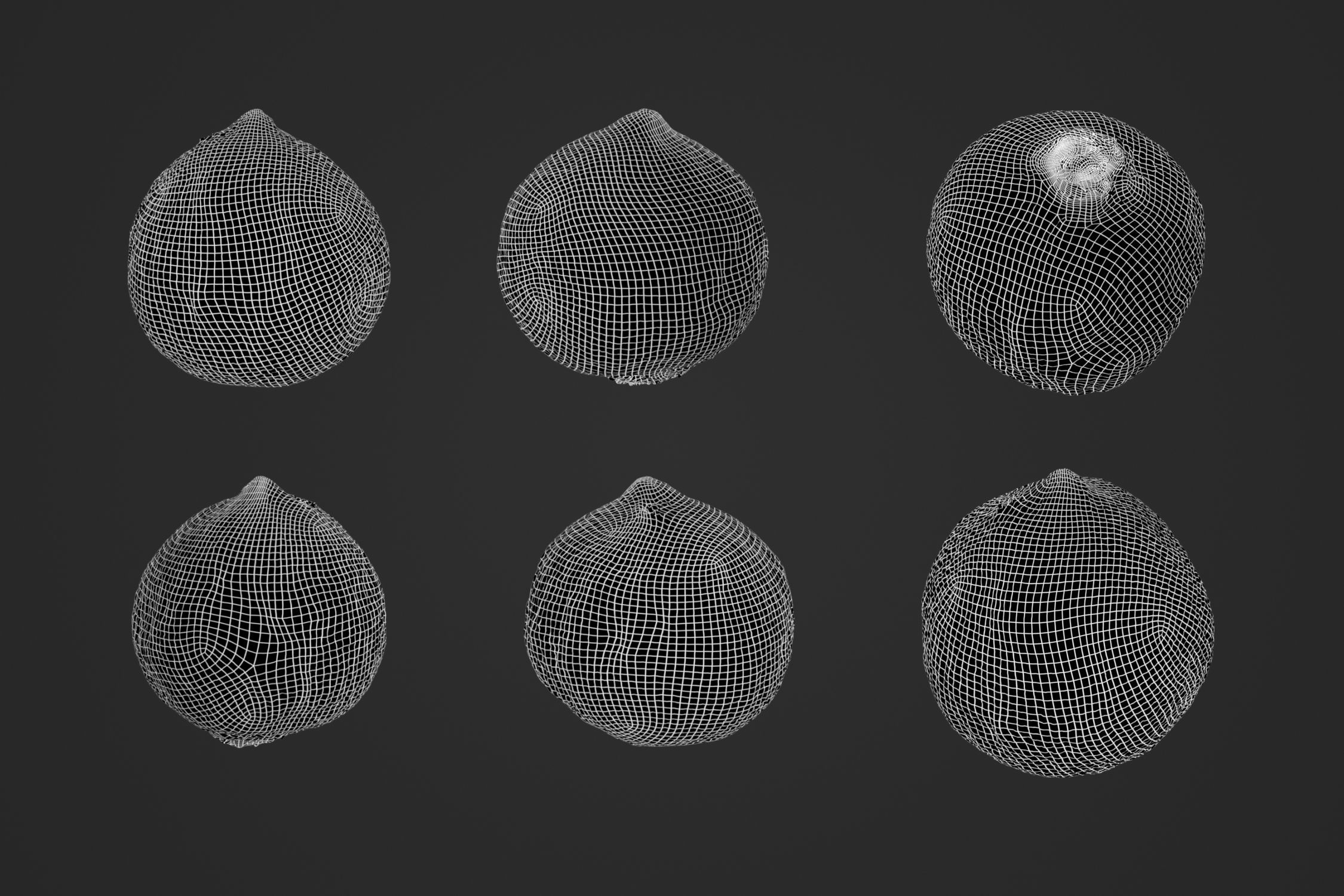 Turnip 1 - 3D Scan 3D model_4