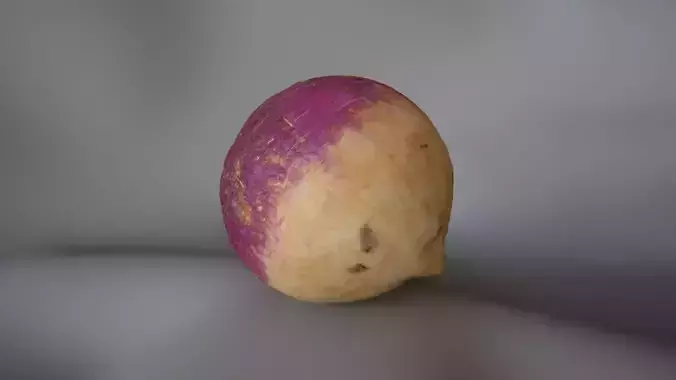 Turnip 1 - 3D Scan