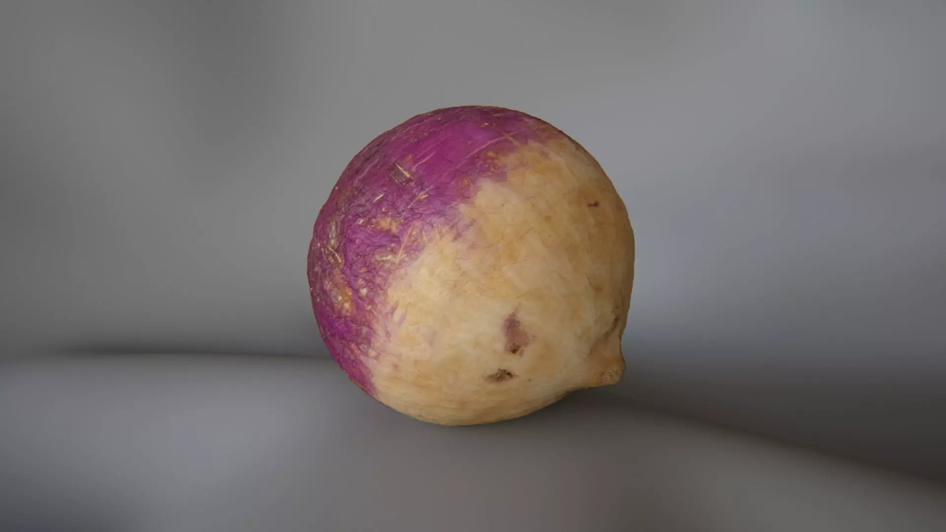 Turnip 1 - 3D Scan 3D model_0