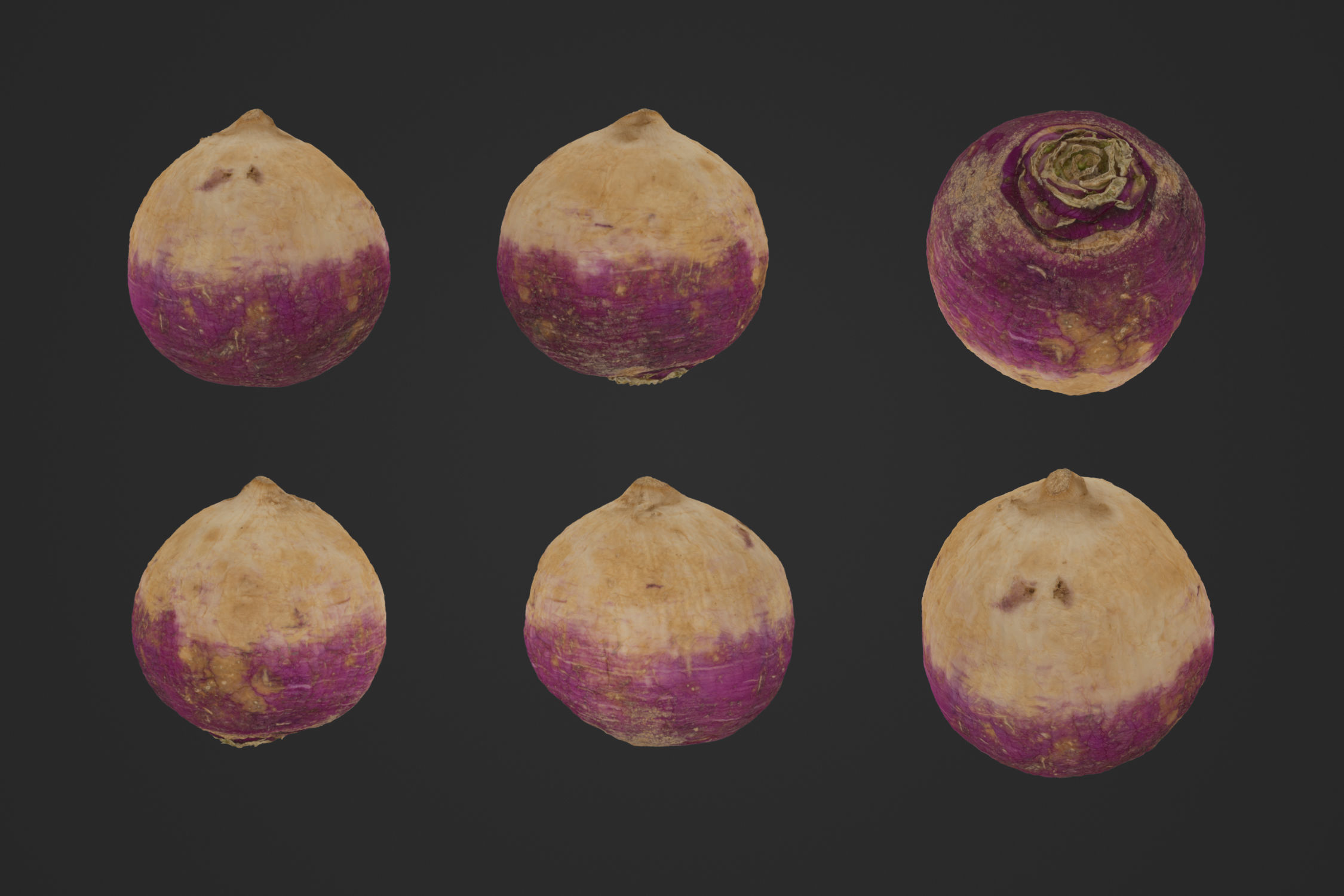Turnip 1 - 3D Scan 3D model_1