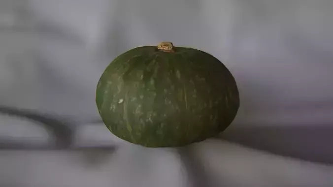 African Melon 1 - 3D Scan