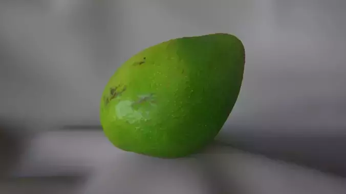 Avacado 1 - 3D Scan