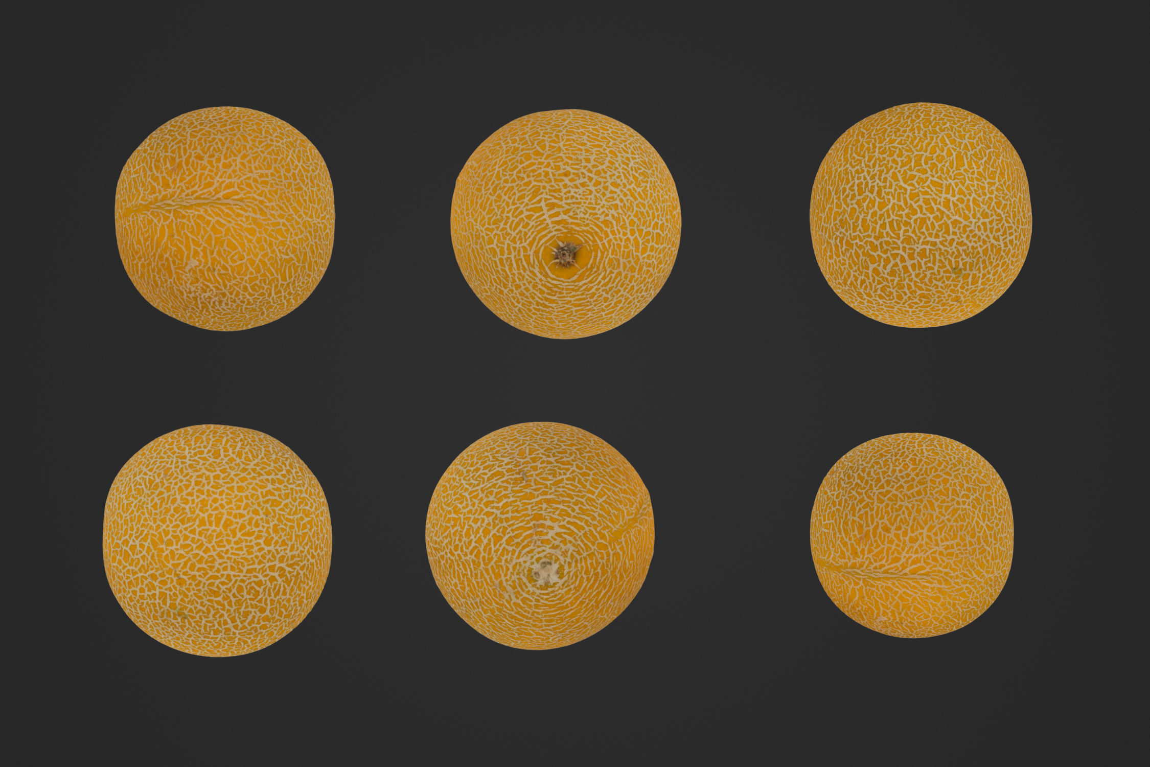 Galia Melon 1 - 3D Scan 3D model_1