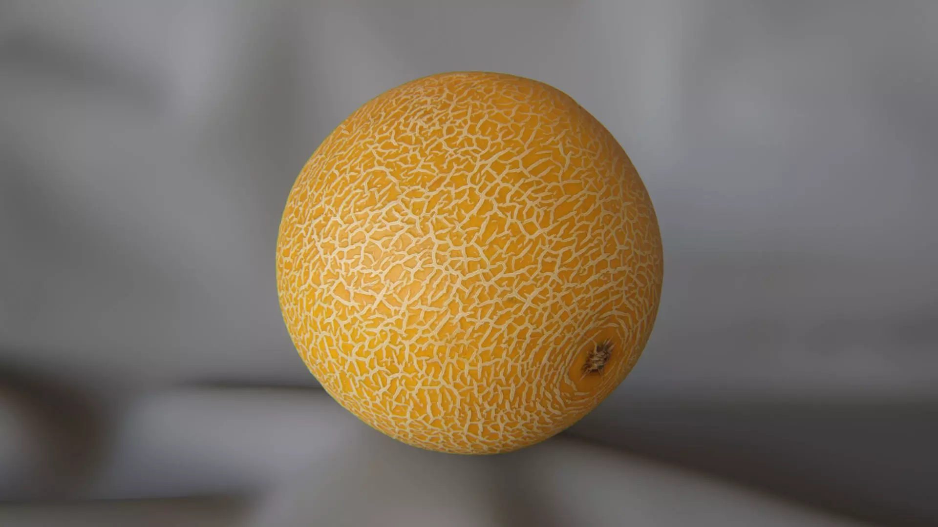 Galia Melon 1 - 3D Scan 3D model_0