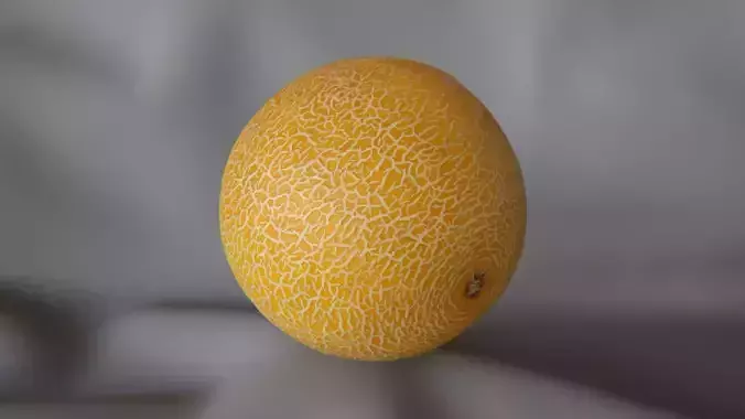 Galia Melon 1 - 3D Scan