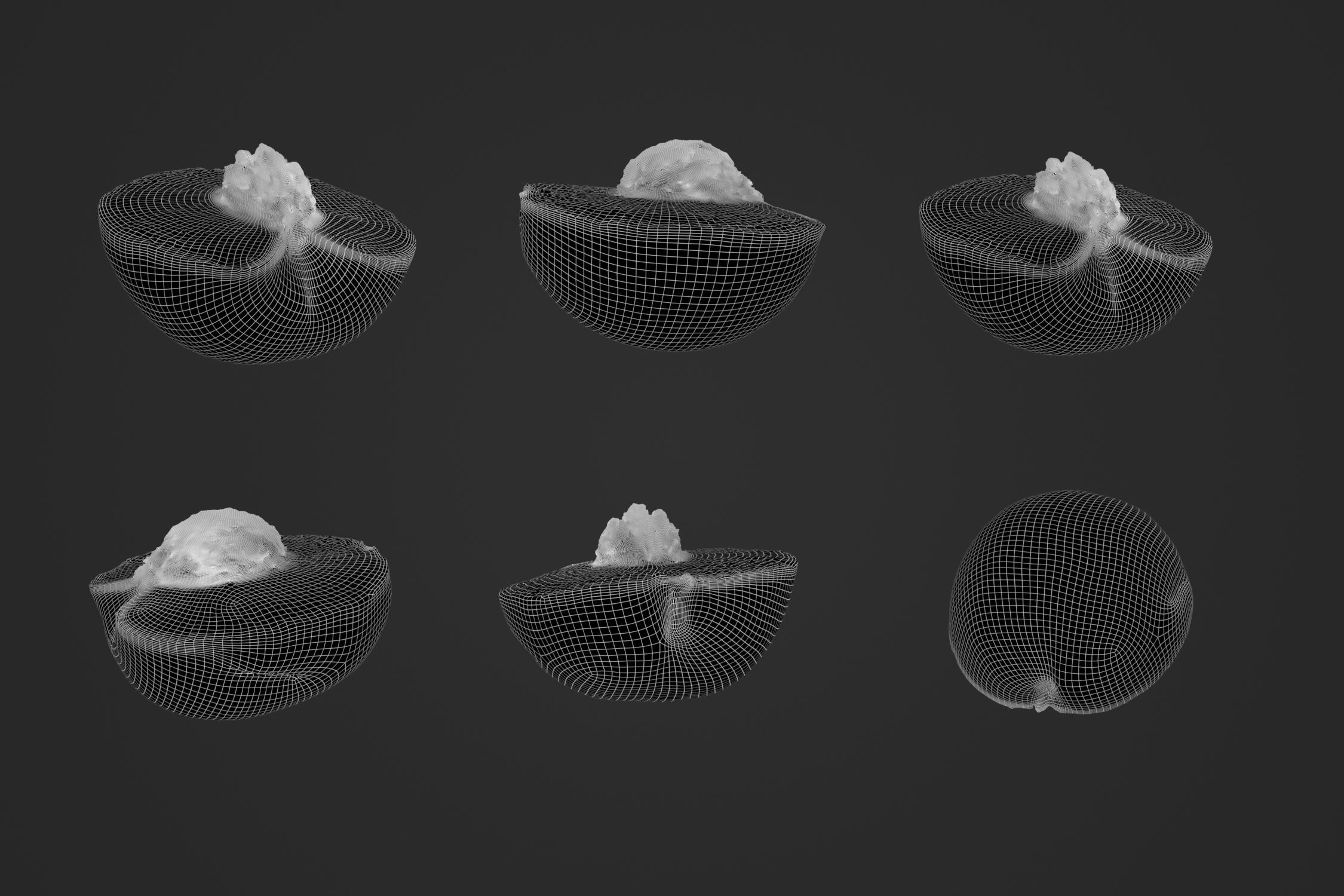 Half Peach 2 - 3D Scan 3D model_4