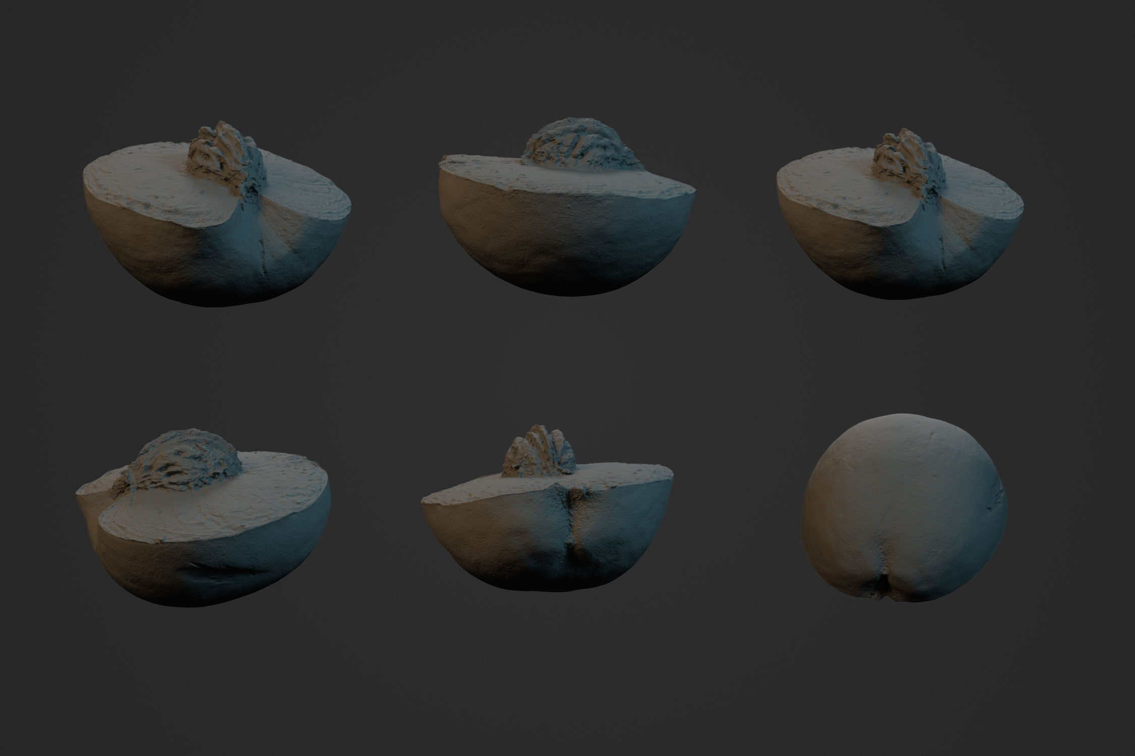 Half Peach 2 - 3D Scan 3D model_3