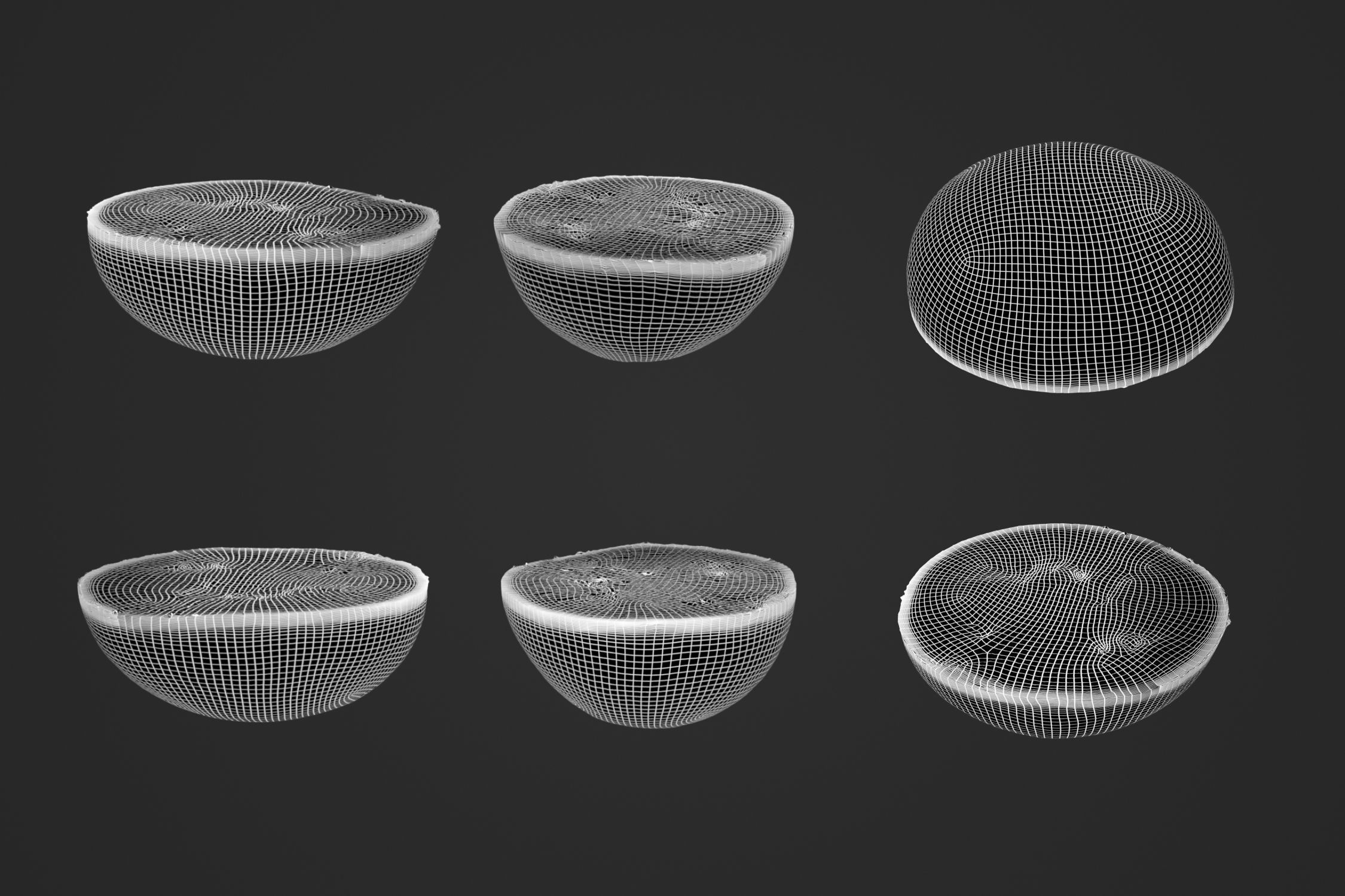 Half Watermelon 1 - 3D Scan 3D model_4