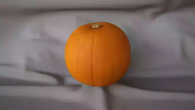 Large Pumpkin 1 - 3D Scan