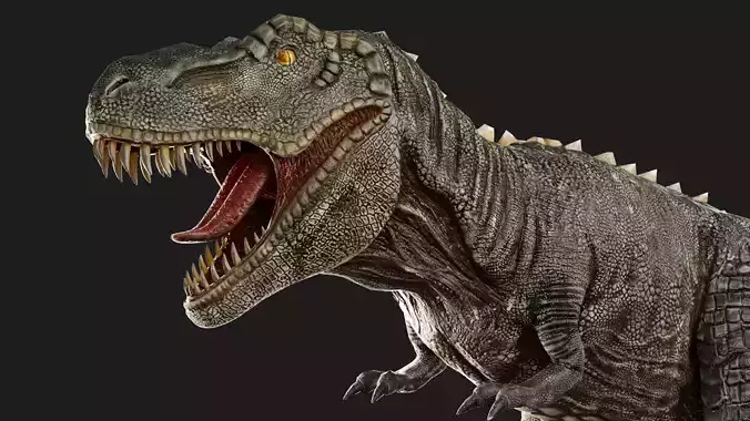 Tyrannosaurus Rex 3D Model - Realistic and Versatile