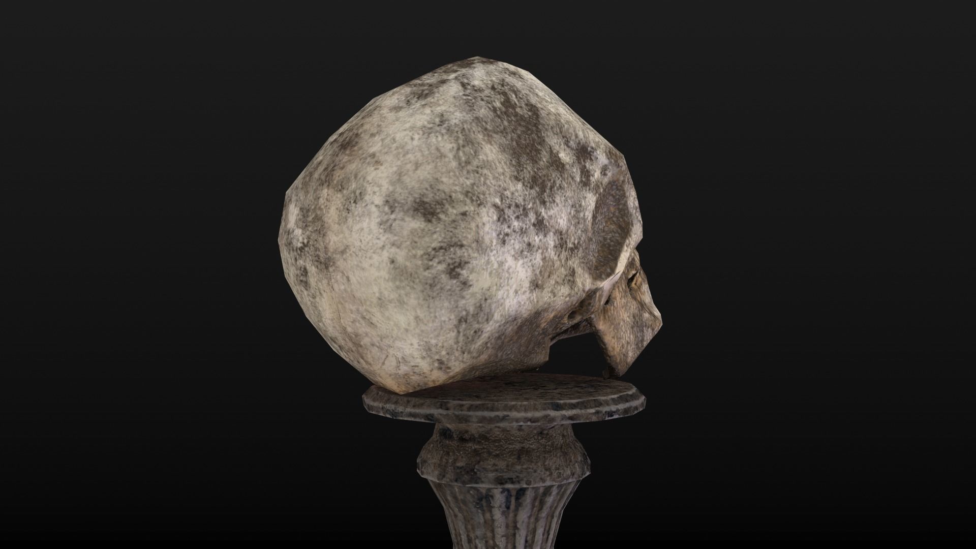 Human Skull Low Poly Low-poly 3D model_5
