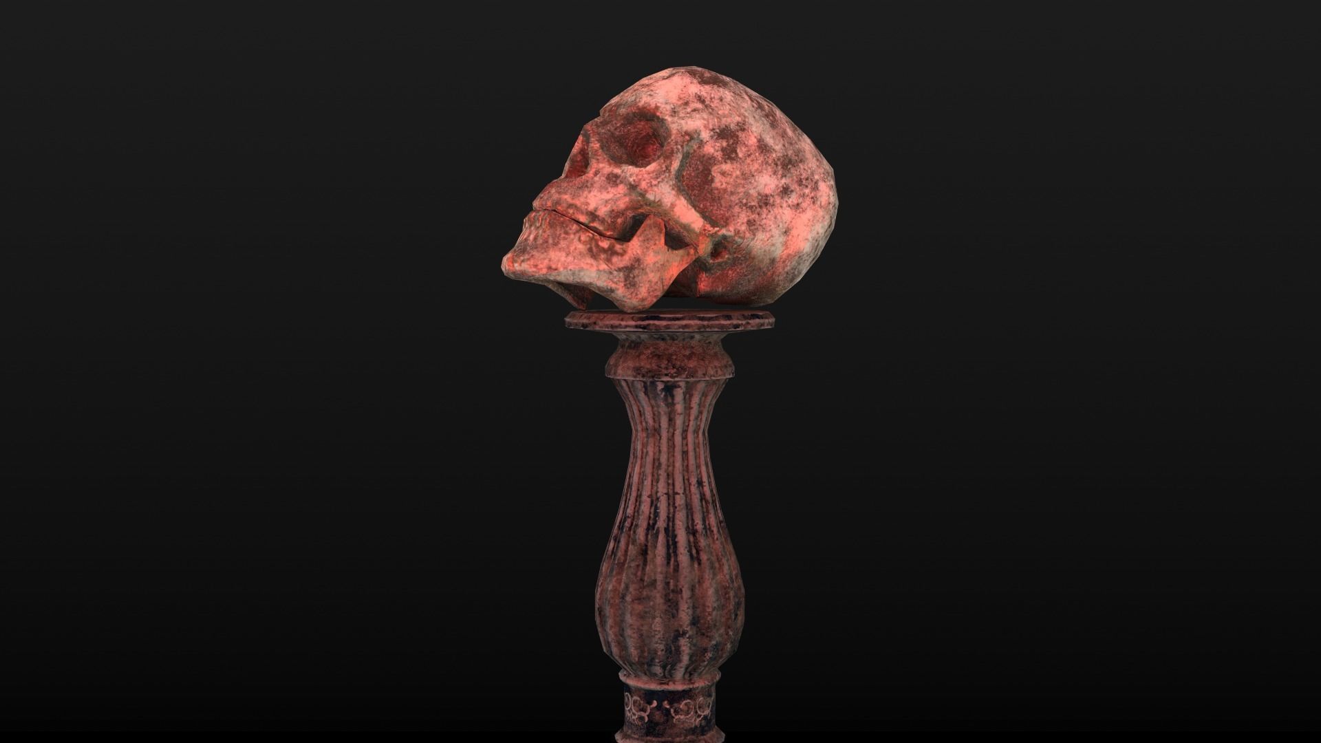 Human Skull Low Poly Low-poly 3D model_9
