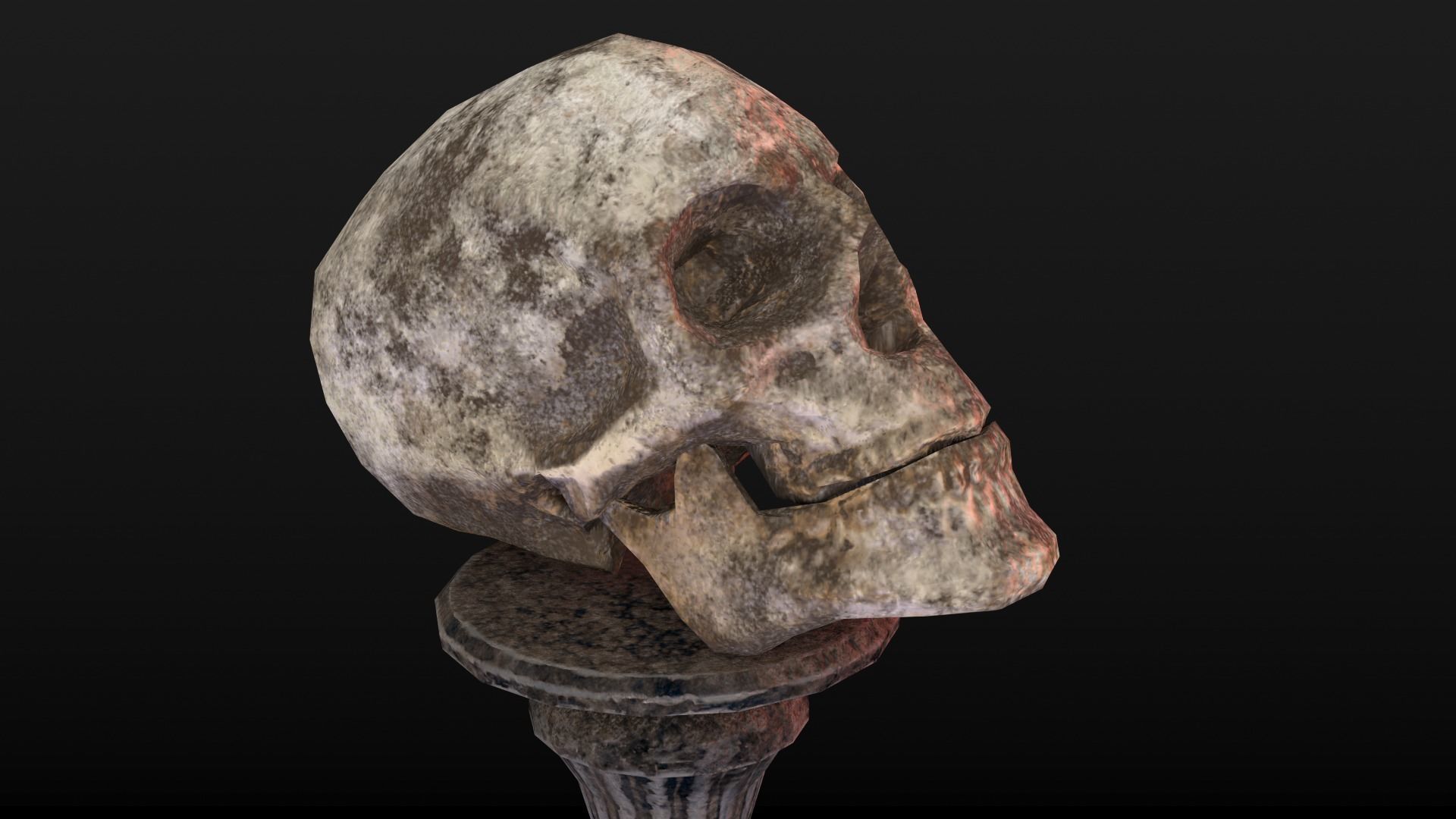 Human Skull Low Poly Low-poly 3D model_3