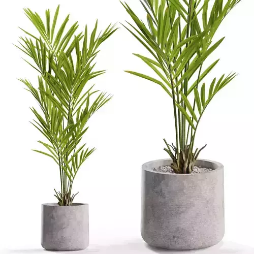 Plants collection 551