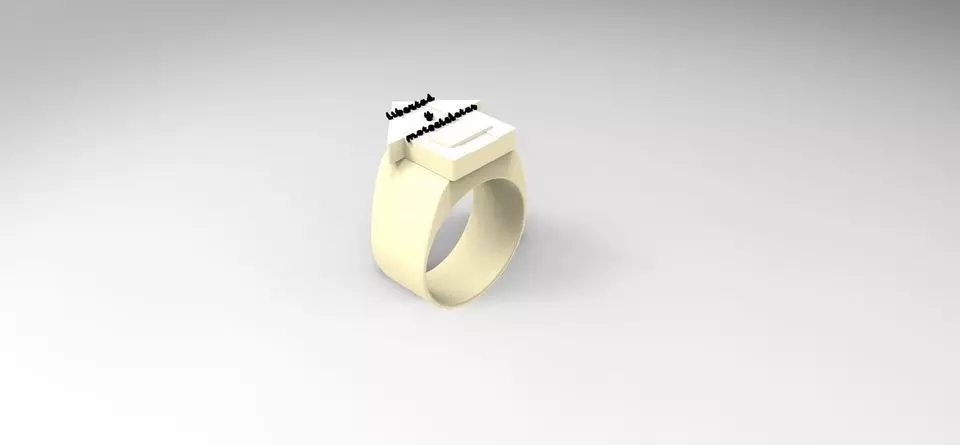 Anillo para motoqueros argentinos Free 3D model