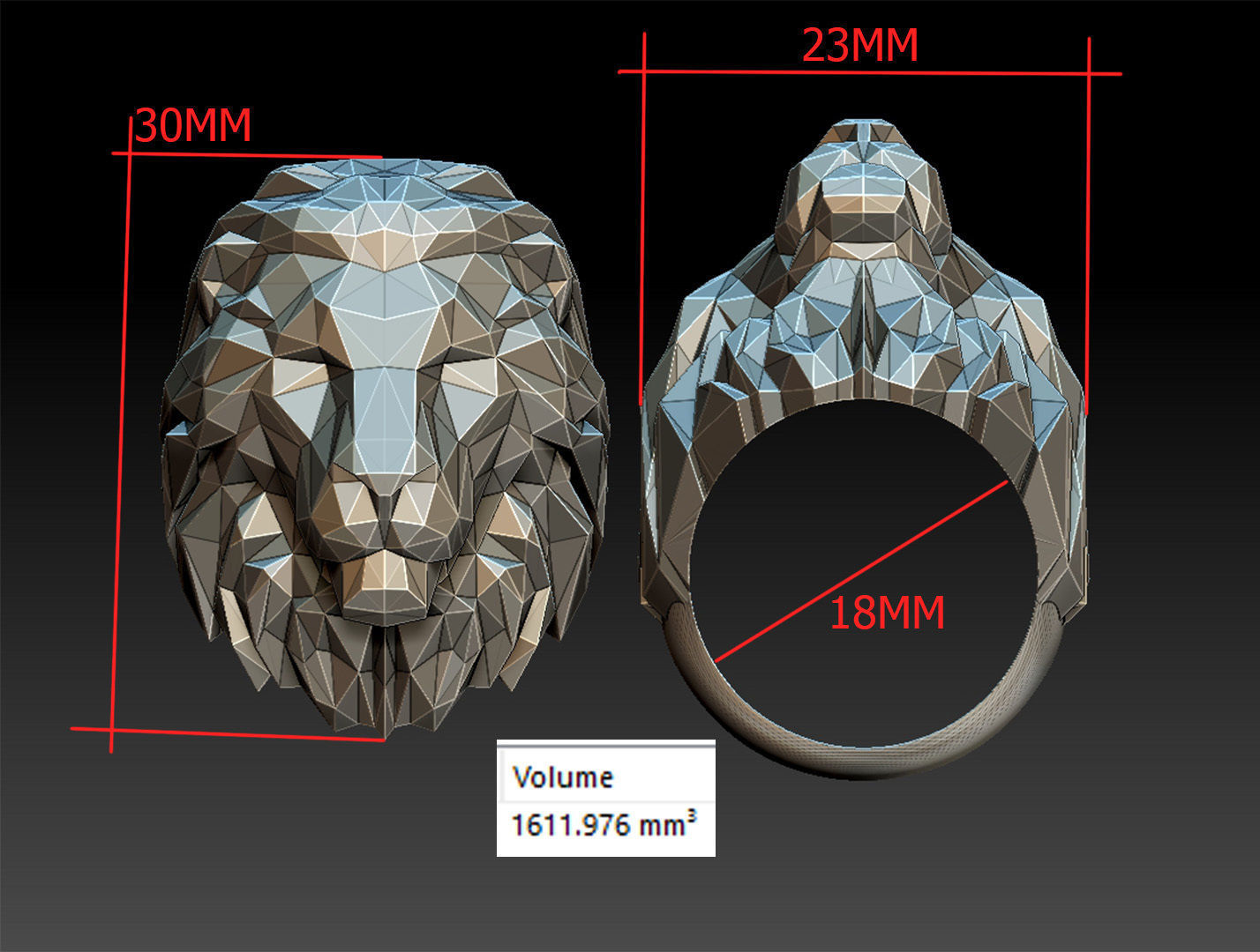 RING LION 3D print model_16