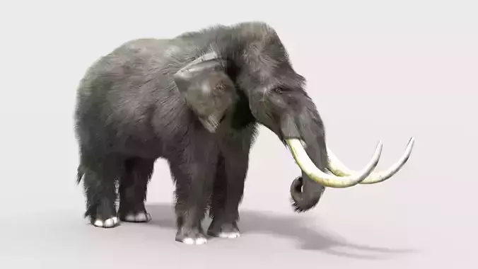 pygmy mammoth
