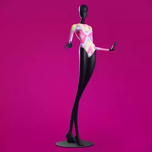 Woman Swimsuit VS Long Sleeve One-piece