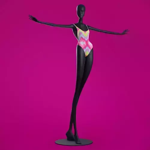 Woman Swimsuit VS Cheeky One-piece