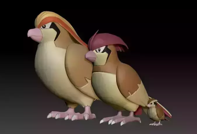 Pokemon Pidgey Pidgeotto Pidgeot