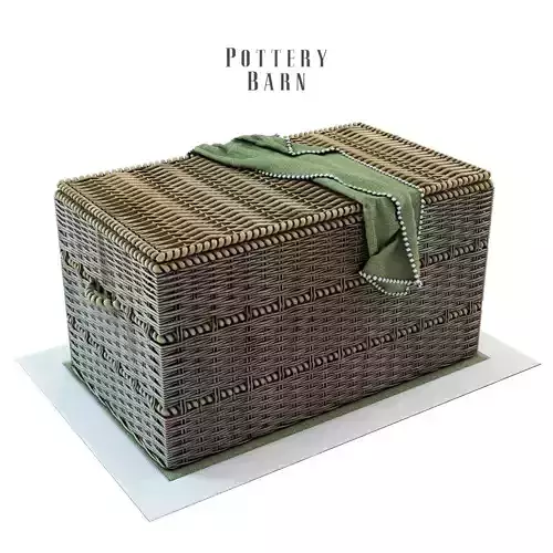 Pottery Barn Woven Trunk with Rope Handles