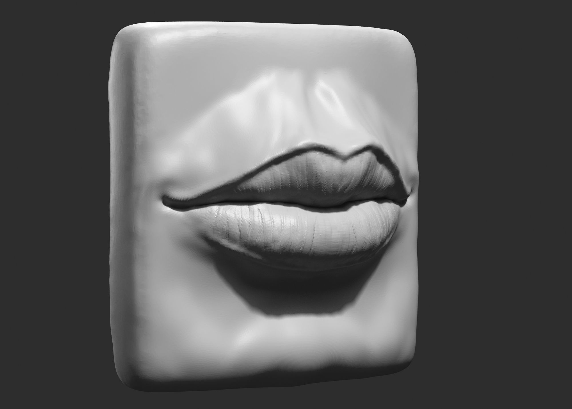 leeps 3d print model 02 3D print model_1