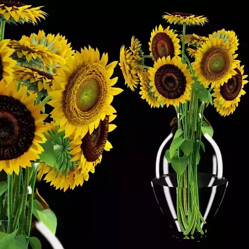 Sunflowers in glass vase 3D model