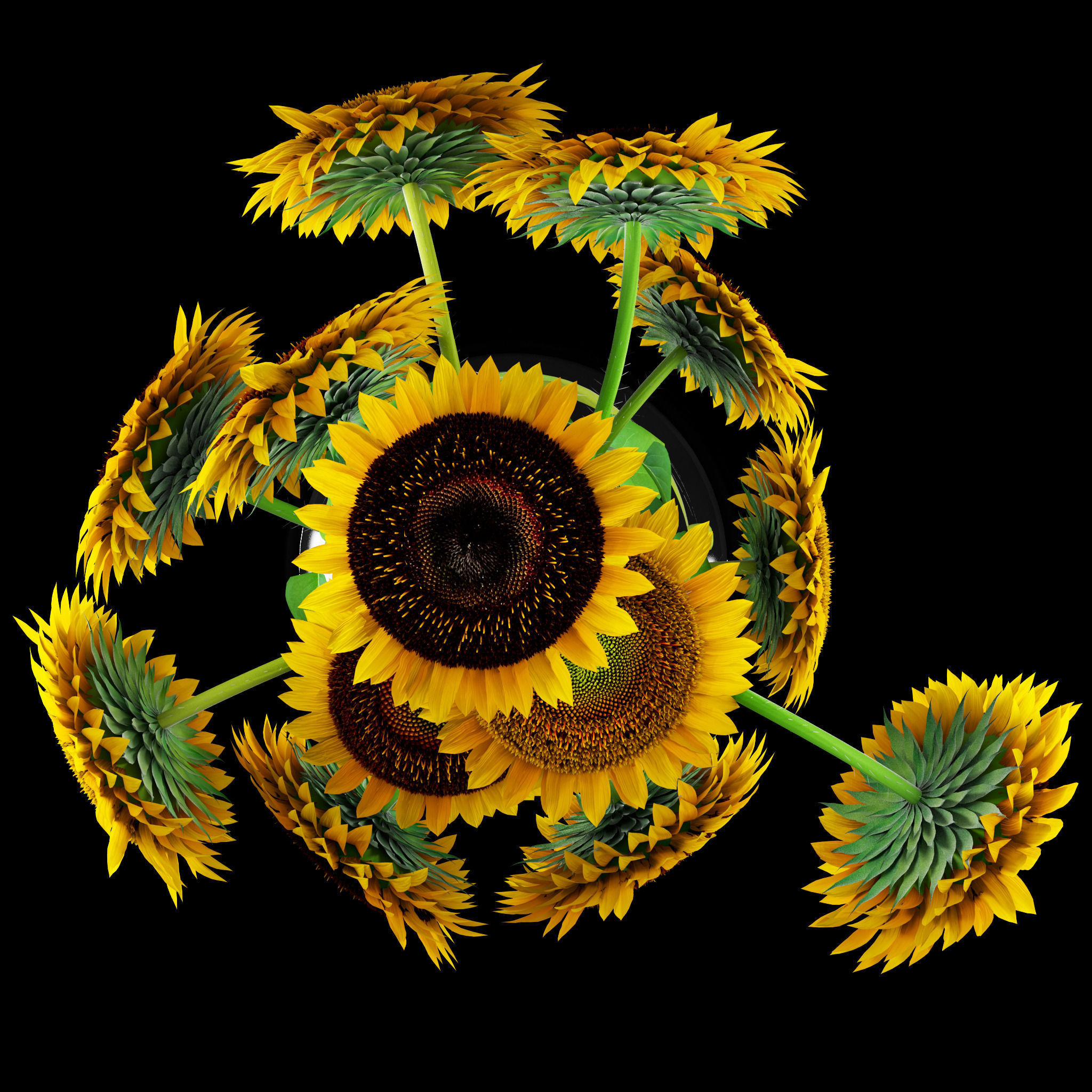 Sunflowers in glass vase 3D model_5
