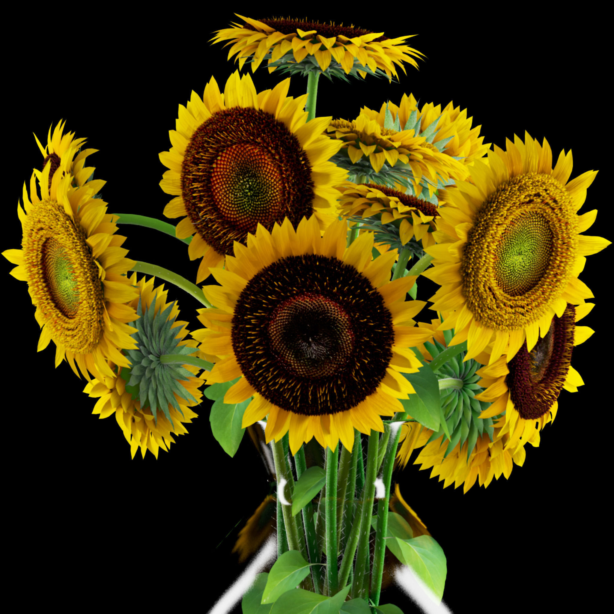 Sunflowers in glass vase 3D model_4