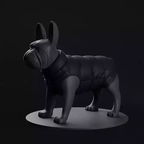 Mondog pet outfitters podo dog couture with panties 3D model