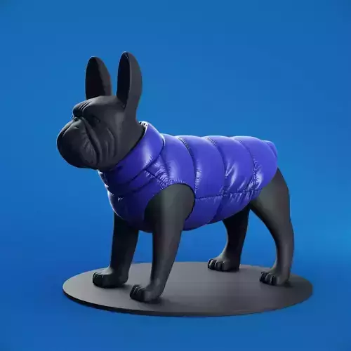 Mondog pet outfitters poldo dog couture