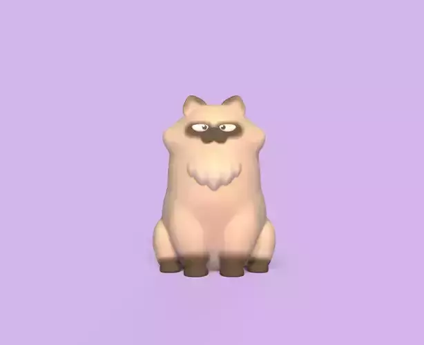Angry Cat