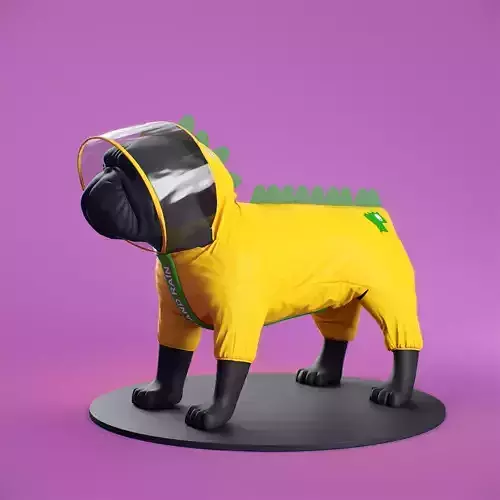 Mondog pet outfitters raincoat model 3D model
