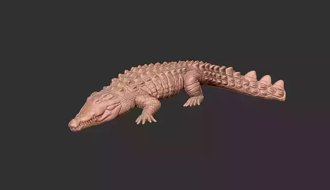 crocodile jewelry piece