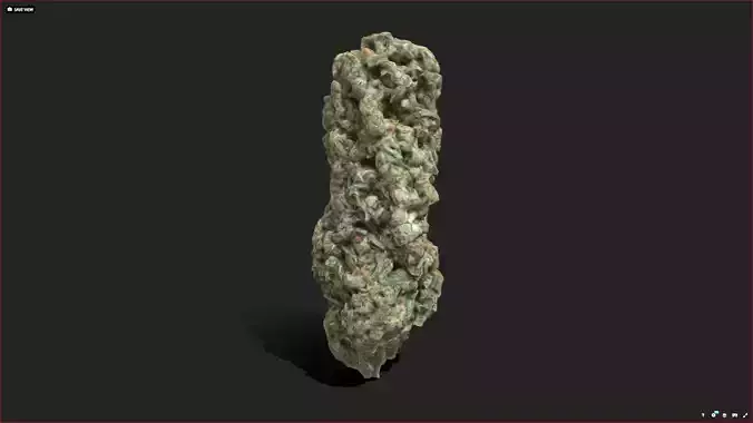 Low Poly Weed Bud Low-poly 3D model