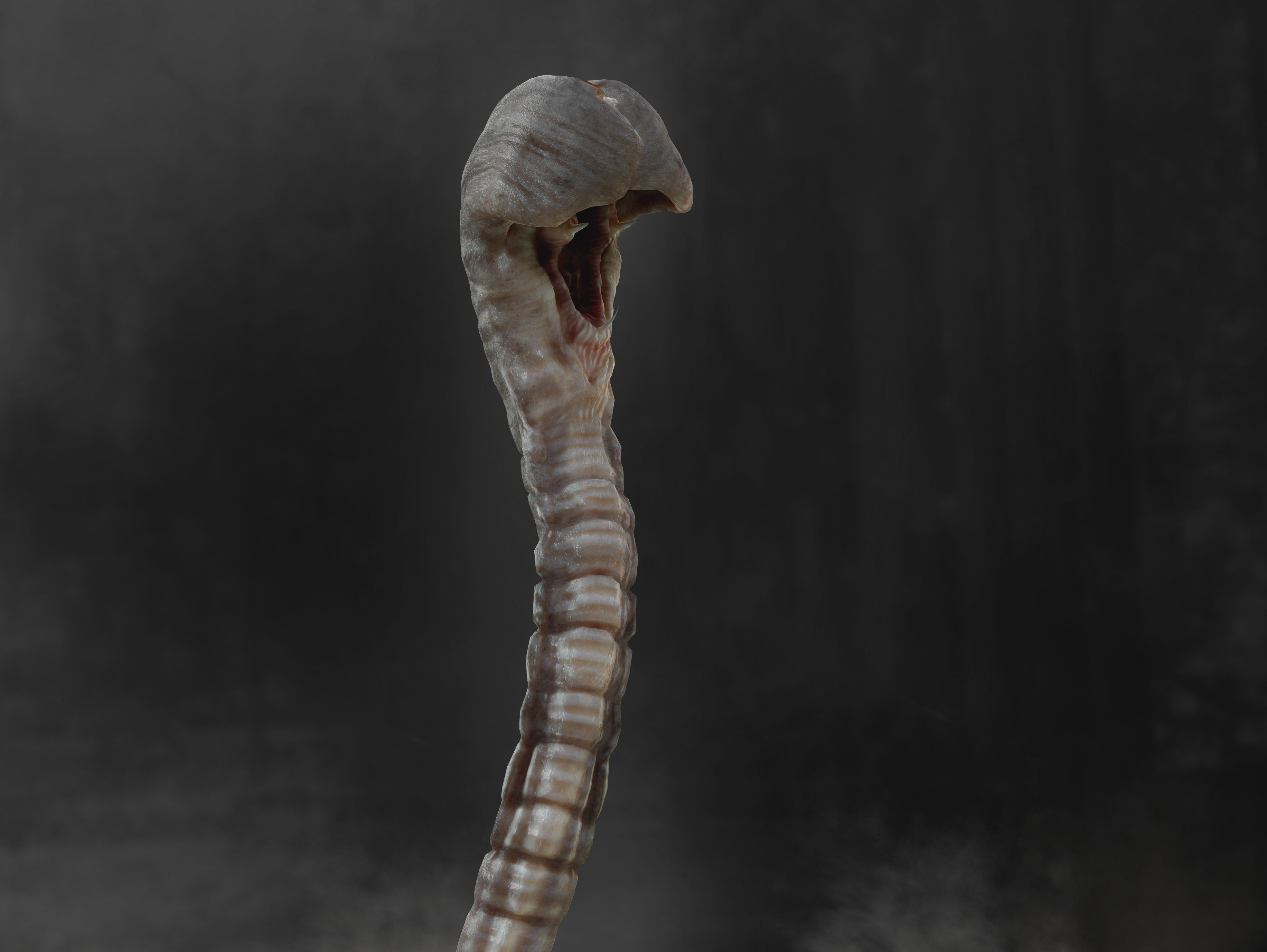 3D model Hammerpede - Prometheus VR / AR / low-poly rigged | CGTrader